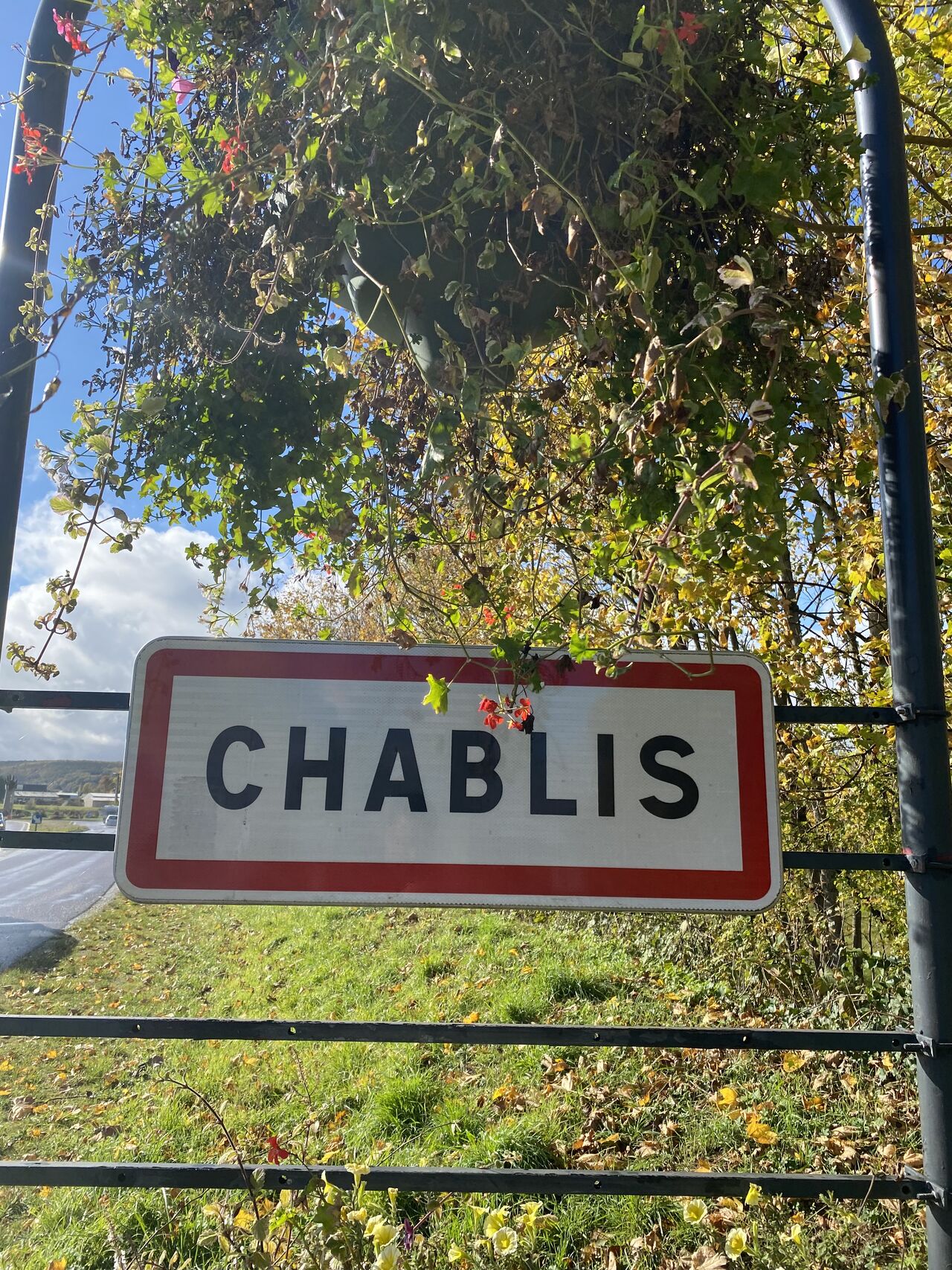 Illustration Chablis Pancarte